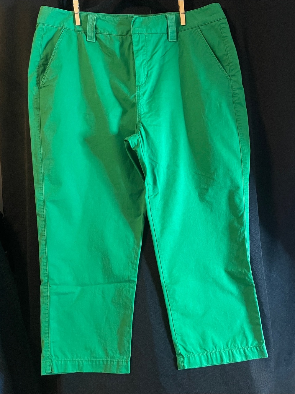 Caribbean Joe Green Cotton Chino Pants